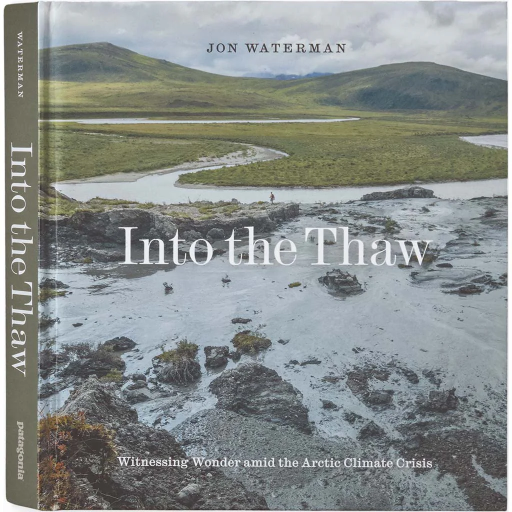 Into The Thaw: Witnessing Wonder Amid The Arctic