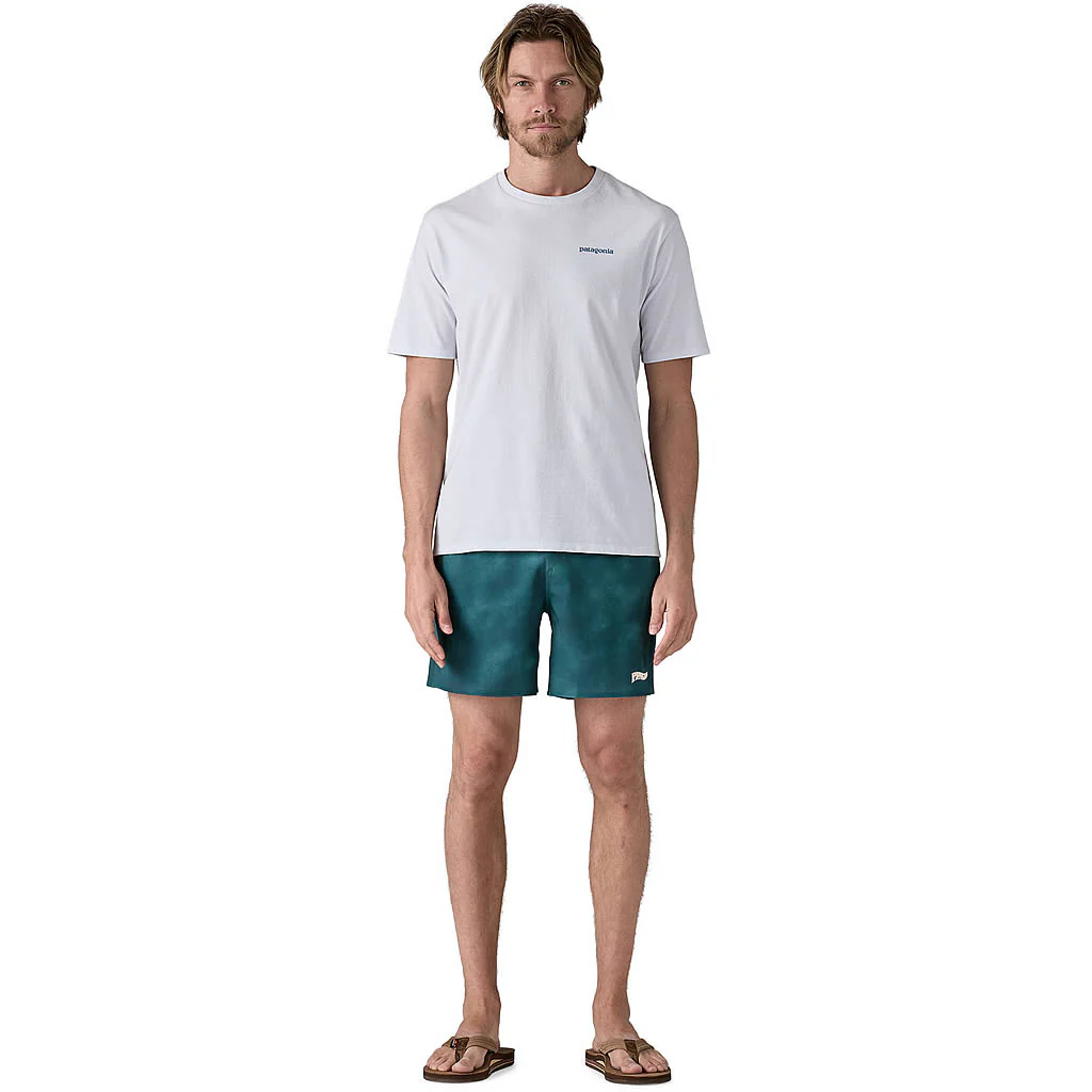 Men's Hydropeak Volley Shorts 16" - Image 19