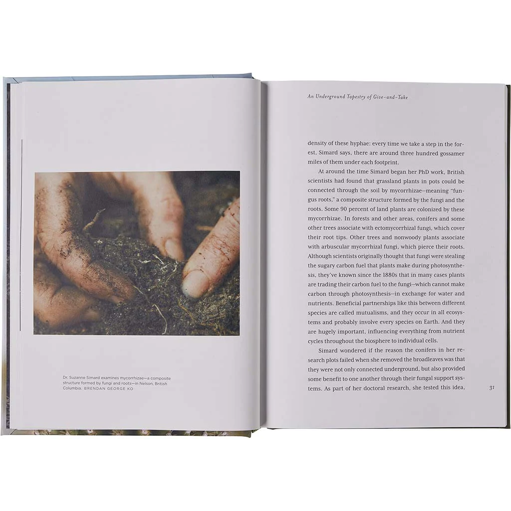 Sweet In Tooth & Claw - Patagonia Book - Image 2